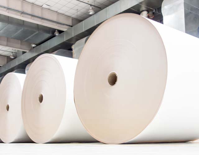 Pulp and Paper Industry - Bawalaksana