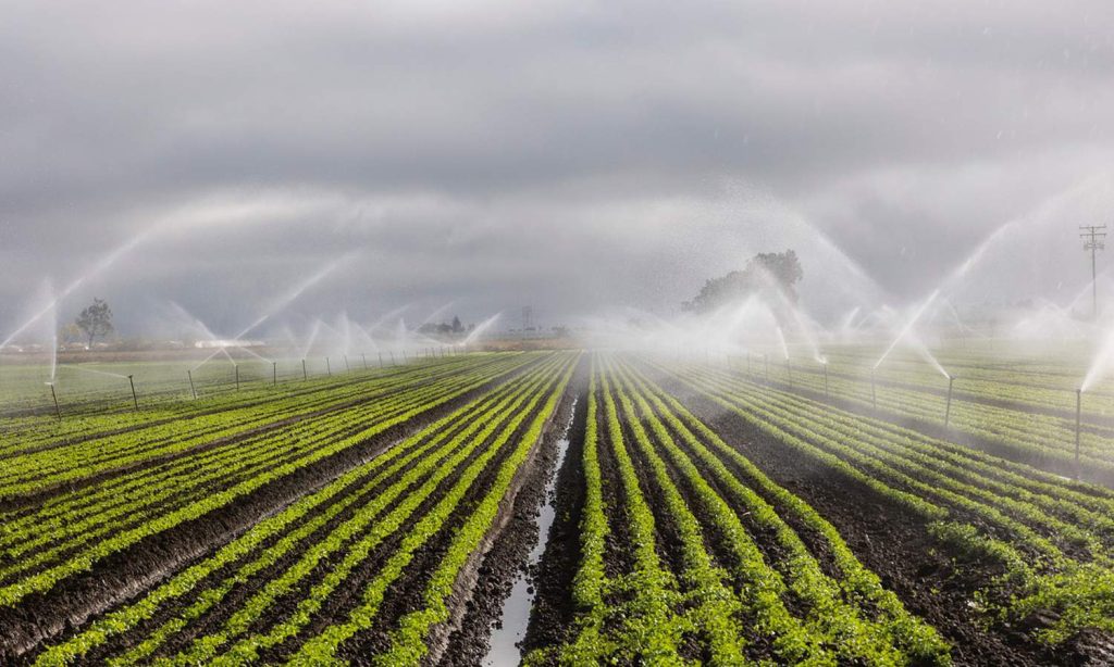 Agricultural irrigation systems and their benefits